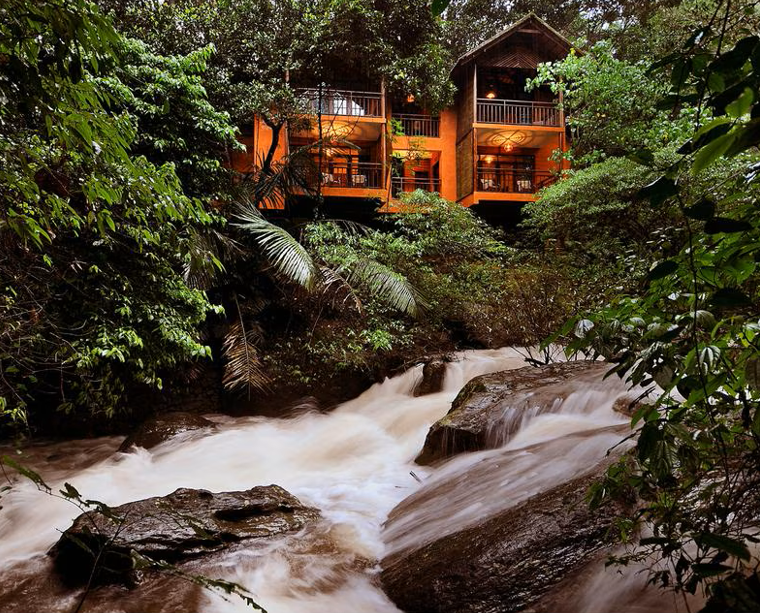 Forest cottage
