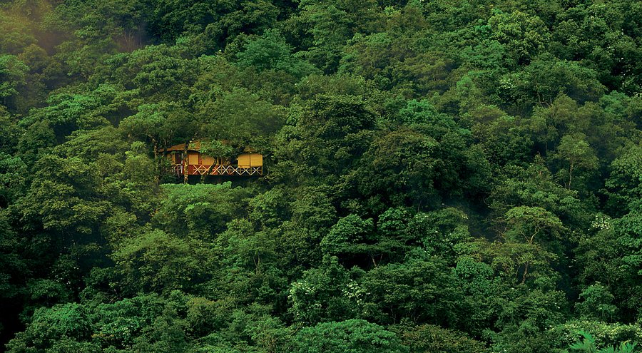 tree-house-exterior
